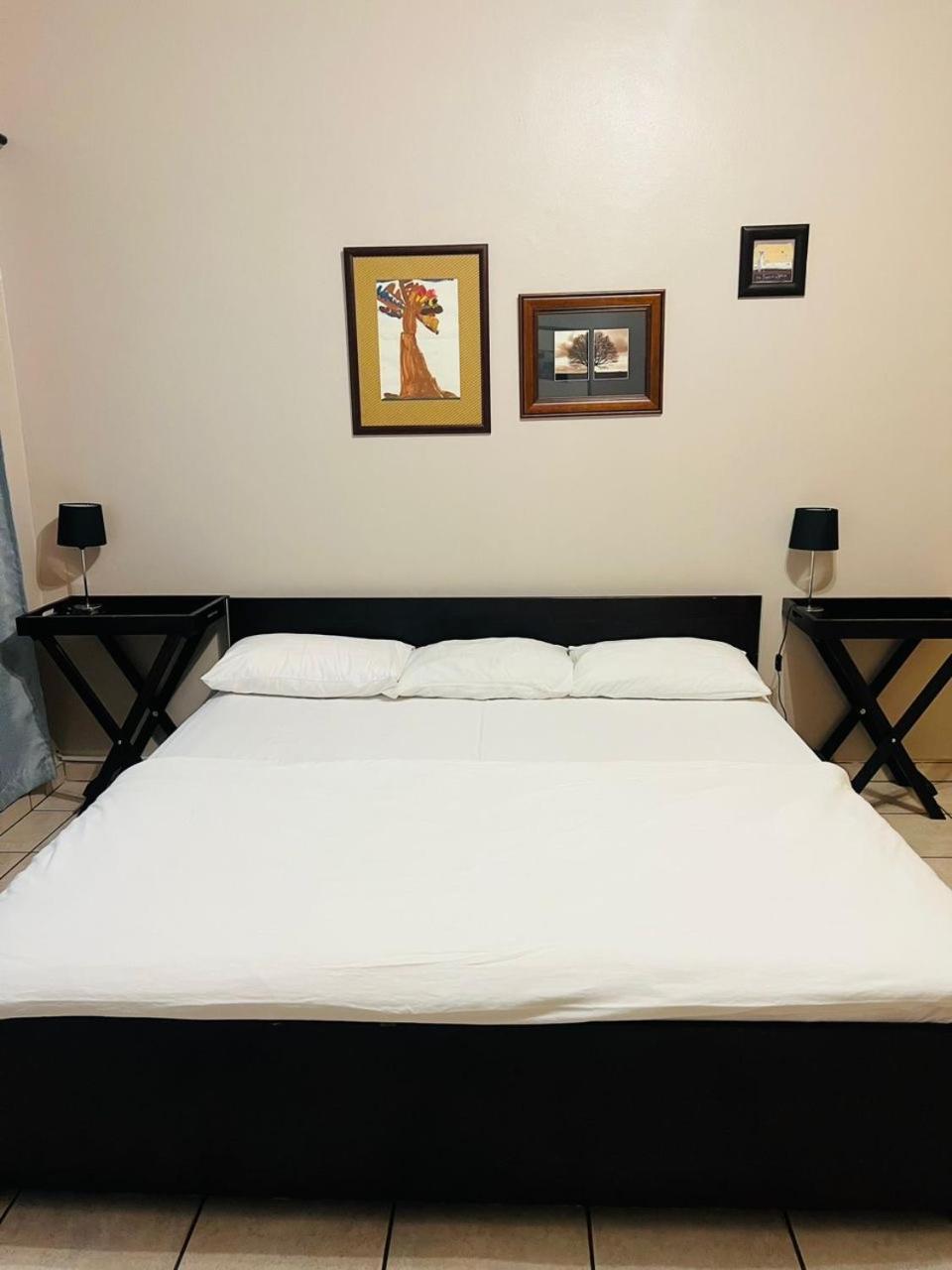 Stern Self Catering Apartments ويندهوك المظهر الخارجي الصورة