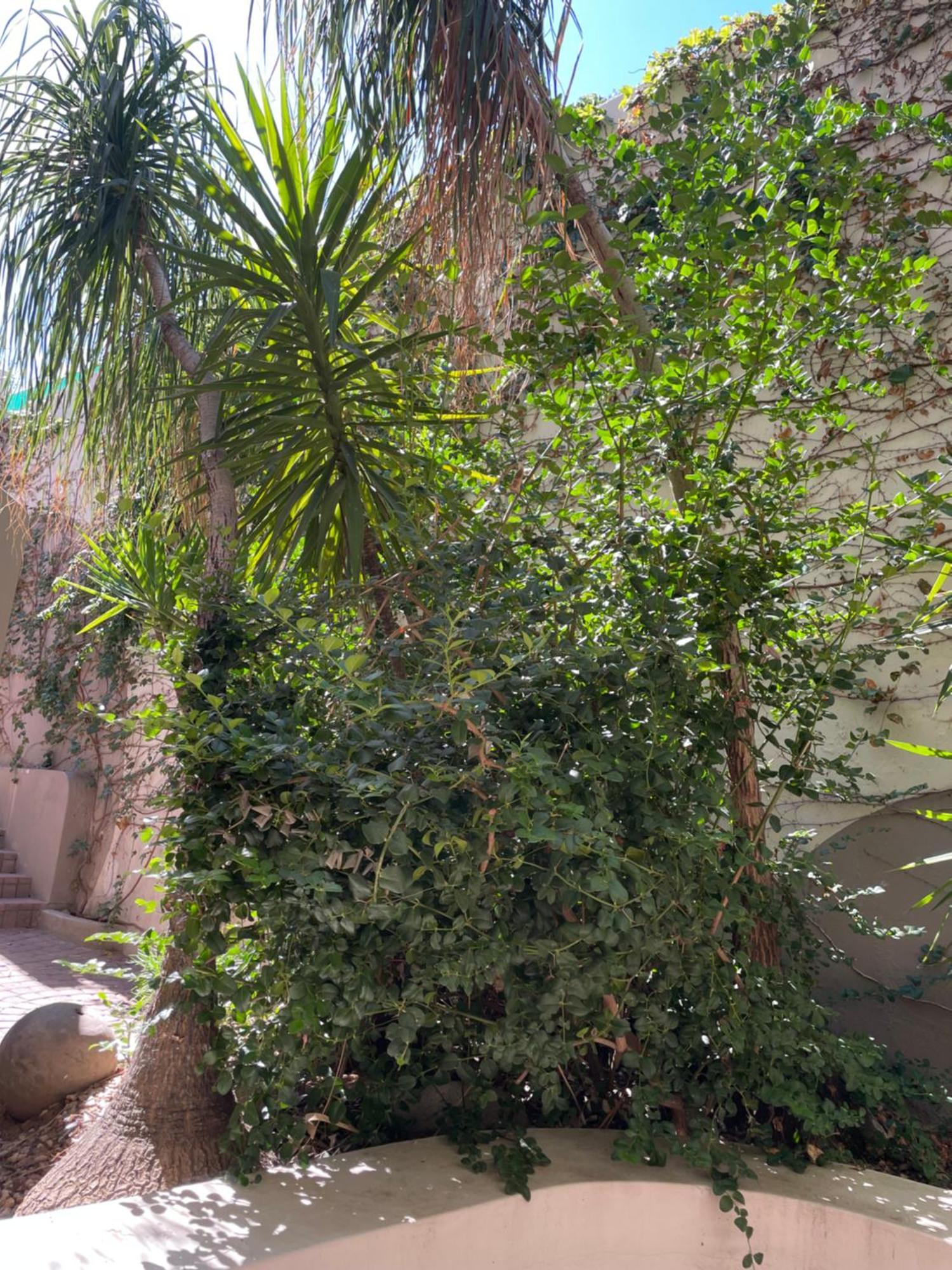 Stern Self Catering Apartments ويندهوك المظهر الخارجي الصورة